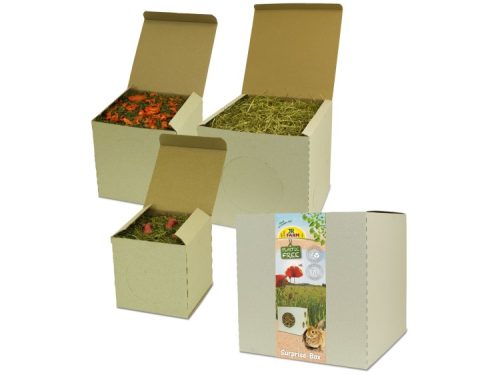 JR24781 - JR FARM PlastikFri SurpriseBox 35x35x35cm 1,75kg