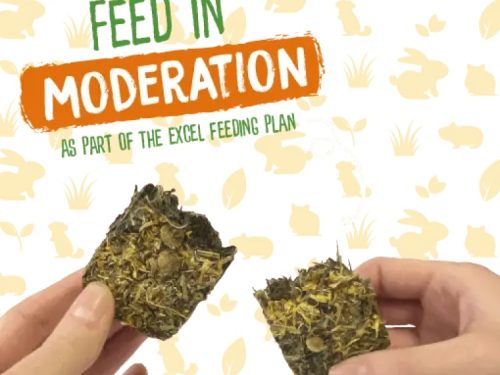 Burgess Excel Forage & Feast Hay Bar with Marigold 2