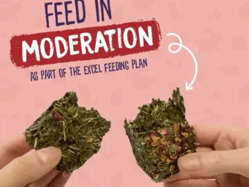 Burgess Excel Forage & Feast Hay Bar with Rose 2