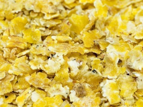 Getzoo majsflager 100g åben