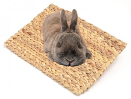 Rosewood Chill 'N Chew mat