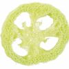 Naturlig loofah skive til små kæledyr. Ideel til at stimulere gnaveinstinkter og holde tænderne sunde. Perfekt til hamstere, kaniner og andre gnavere.