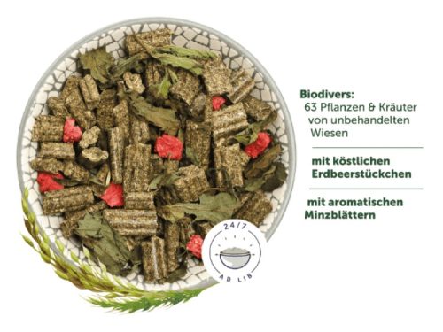 Biodivers foderblanding til gnavere med 63 planter og urter fra ubehandlede enge, inklusive lækre jordbærstykker og aromatiske mynteblade. Ideelt til daglig fodring.