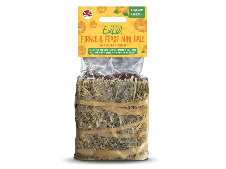 Burgess Excel Forage & Feast Mini Bale med morgenfrue, lækker timothy hø-bale til kaniner, marsvin og chinchillaer, perfekt som en sund snack og aktivitetsberigende tilbehør.