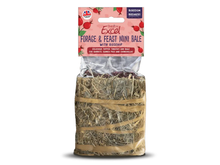 Burgess Excel Forage & Feast Mini Bale med rosenhyld, ideel til kaniner, marsvin og chinchillaer. Leverer en lækker kombination af timothy-hø og rosenhyld, perfekt til at reducere kedsomhed og give nærende snacks til små kæledyr.