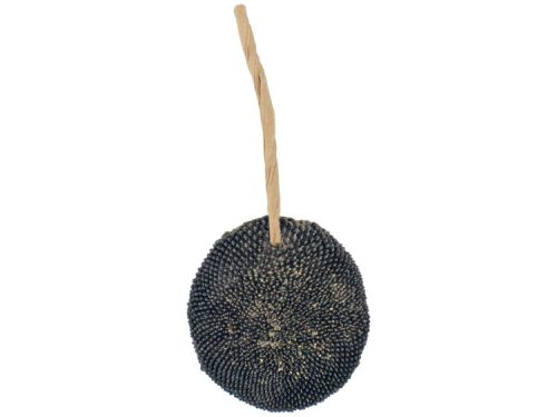 Sund snack til gnavere, lavet af naturlige ingredienser, perfekt til at stimulere tyggebehovet og give underholdning. Ideel til hamstere, marsvin og andre små kæledyr.